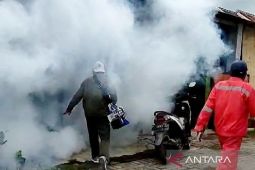 Dinas Kesehatan Situbondo catat 40 kasus DBD pada awal tahun 2024