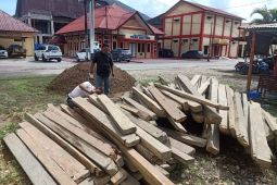 Polisi tangkap warga diduga bawa kayu ilegal