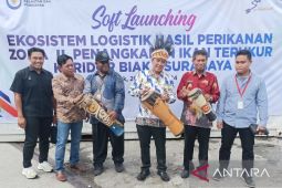 Dirjen PDSPKP KKP lepas pengiriman ikan Biak ke Surabaya