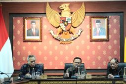Pemprov Bali yakini Udayana mampu rancang Perpres IKN
