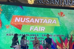 IKN dibangun di tanah monokultur agar tidak rusak hutan