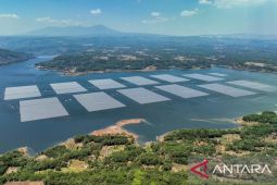 Sepanjang 2023 PLN genjot infrastruktur kelistrikan, kini kapasitas listrik nasional capai 72.976,30 megawatt