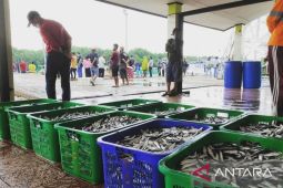 Potensi sumber daya ikan  di Kaltim cukup besar