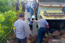 PUPR-Satgas IKN lakukan perbaikan jalan longsor akses  Kota Nusantara