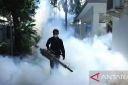 Dinkes Subang temukan 132 kasus DBD per Januari 2024