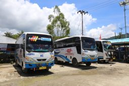 BPTD Maluku nyatakan armada Damri layani 17 lintasan di 2024