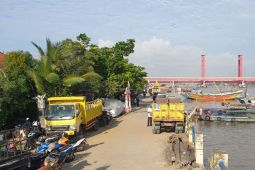 Dinkes Sumsel ajak warga galakkan pemberantasan DBD