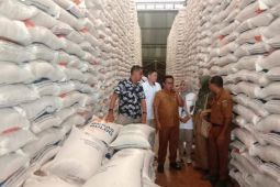 Stok beras Bulog Maluku cukup penuhi  kebutuhan hingga bulan puasa