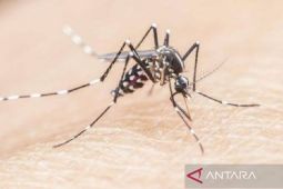 Dinkes: Kasus malaria di Babel turun jadi 61 pasien