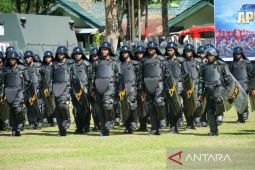 Kodam XI/Pattimura gelar apel pasukan untuk kesiapan amankan Pemilu 2024