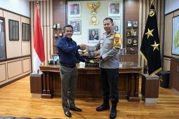 PLN dan Polda Kalsel perkuat sinergi sukseskan pemilu serentak