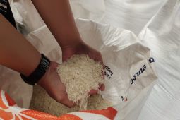 Kemarin, faktor tingginya harga beras sampai detil kenaikan gaji ASN