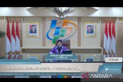 BPS catat ekonomi RI alami inflasi 0,04 persen pada Januari 2024