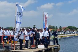 KKP memodifikasi tambak udang tak berproduksi jadi tambak nila salin di Karawang
