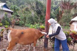 Disnakkeswan Gorontalo Utara perlu tambahan dokter hewan