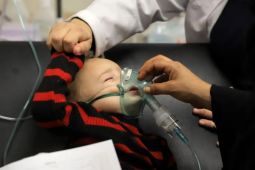 PBB: 17.000 anak hidup tanpa pendamping di Gaza