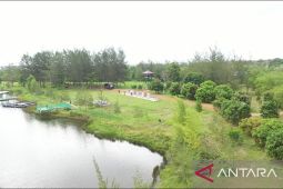 299,47 hektare bekas tambang timah di Bangka Belitung dihijaukan