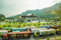 Vietnam dan China alami lonjakan perdagangan pasca pembukaan perbatasan