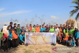 PT Timah tanam 100 cemara cegah abrasi Pantai Batu Kucing