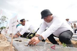 Pj Bupati Bangka optimis daerahnya mampu pasok cabai ke wilayah lain