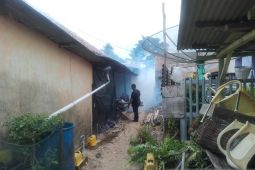 Pemkab Bangka Selatan cegah penyebaran wabah DBD di kampung nelayan