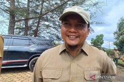 BPDAS Babel dukung gerakan tanam pohon di lahan bekas tambang