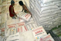 11.422 ton pupuk bersubsidi cukupi kebutuhan petani di Tangerang