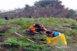 Warga Boyolali tanam ratusan bibit pohon di kawasan hutan Merbabu untuk penghijauan