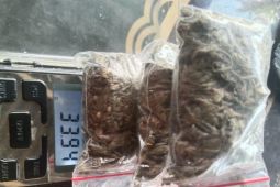 Polres Simalungun tangkap pengedar ganja, barang bukti 33,94 gram diamankan