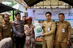 Pemkab Hulu Sungai Tengah distribusikan 1.258 ton beras CPP