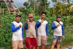 Petani Kayong Utara tanam beragam tanaman sekaligus menjaga hutan