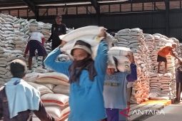 Distan Cirebon: Produksi beras surplus 94.466 ton pada 2023