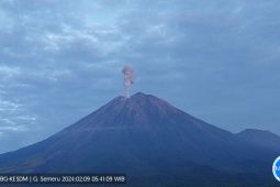 Semeru kembali erupsi dengan letusan setinggi 1 km