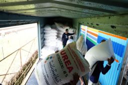 Kabupaten Parigi Moutong dapat alokasi pupuk subsidi 15.081 ton dari Kementan