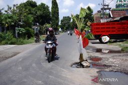 Jalan ditanami pohon pisang di Jombang