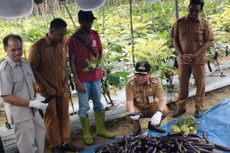 Bupati Tabalong: Desa Catur Karya berpotensi kembangkan hortikultura