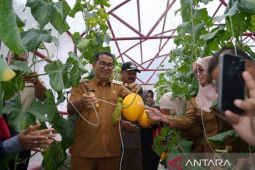Pj Gubernur Kaltim ajak bupati/wali kota  kembangkan pertanian