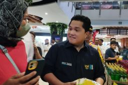 Menteri BUMN pastikan ketersediaan beras nasional aman
