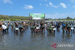 KASAD pimpin penanaman serentak 64.500 Bibit mangrove di Aceh