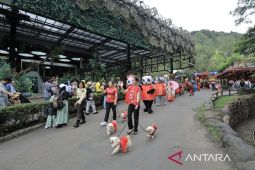 TSI Bogor beri diskon bagi pengunjung tunjukkan tinta pemilu di jari