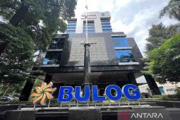 Bulog pastikan stok beras 1,18 juta ton aman penuhi kebutuhan hingga April