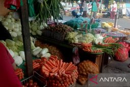 Harga bahan pokok  di Ambon normal saat Pemilu