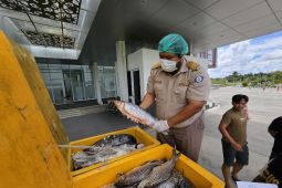 Kapuas Hulu ekspor 6,9 ton ikan lewat pintu perbatasan Kalbar-Malaysia