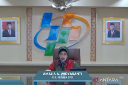 BPS: Impor beras pada Januari 2024 capai Rp4,3 triliun