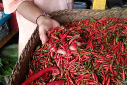 Pemda Bali susun jadwal pasar murah tekan kenaikan harga pangan