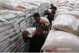 Bulog Bali alokasi CBP di pasar murah pemda sambut Galungan