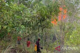 Dishut Maluku padamkan kebakaran hutan di kawasan Leahari seluas dua hektar