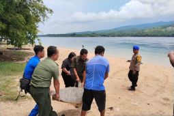 Polisi: Tersangka penangkapan penyu hijau diancam lima tahun penjara