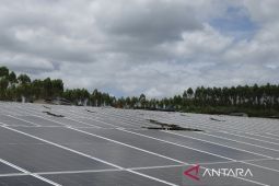 PLTS tulang punggung energi  hijau bagi Ibu Kota Nusantara