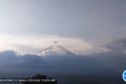 Semeru kembali erupsi dengan letusan setinggi 700 meter